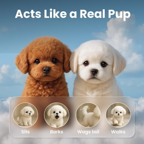 Froplay Dog Toy image