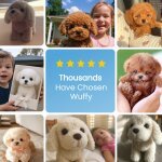 Froplay Dog Toy image